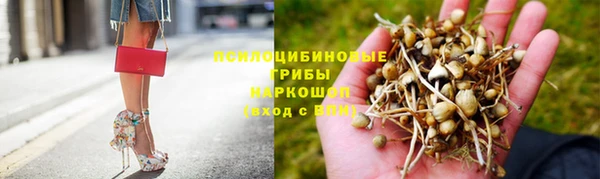 не бодяженный Россошь
