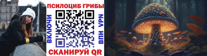 Псилоцибиновые грибы мухоморы  Суоярви 